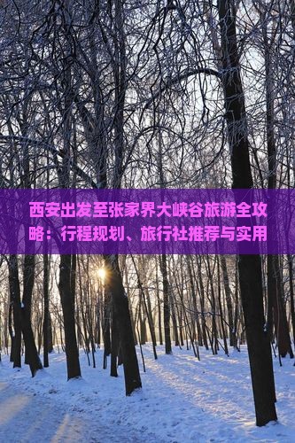西安出发至张家界大峡谷旅游全攻略：行程规划、旅行社推荐与实用