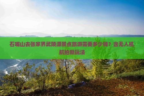 石嘴山去张家界武陵源景点