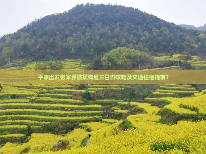 平凉去张家界玻璃栈道三日游