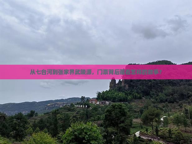 七台河去张家界武陵源门票