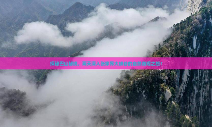 巴中去张家界大峡谷二日游