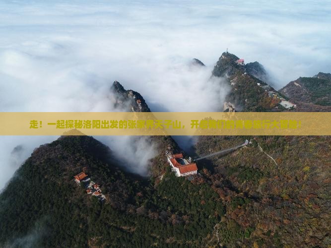 洛阳到张家界天子山大型旅游团