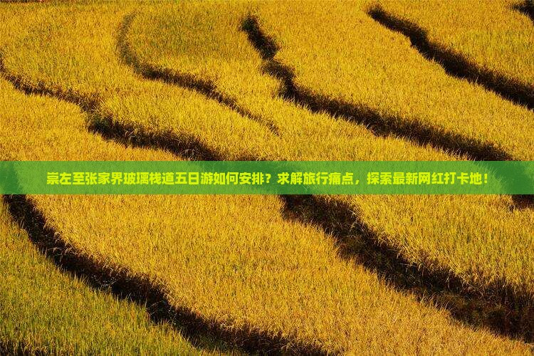 崇左到张家界玻璃栈道五日游
