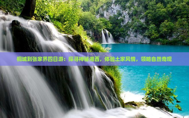 桐城到张家界四日游