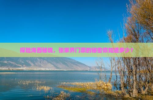 海西去张家界门票