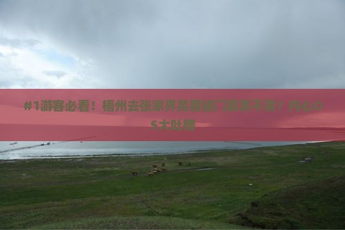 梧州到张家界芙蓉镇门票