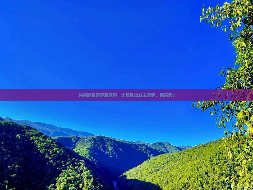许昌去张家界芙蓉镇大型旅游团