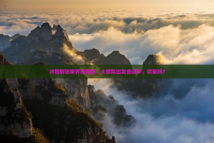 许昌去张家界芙蓉镇大型旅游团