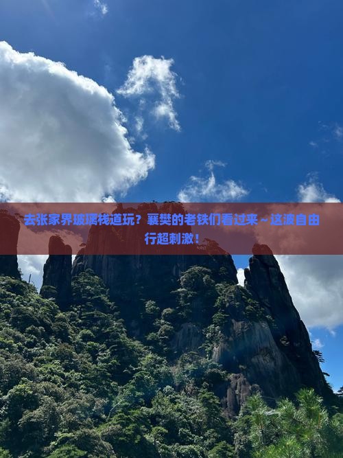 襄樊去张家界玻璃栈道自由团