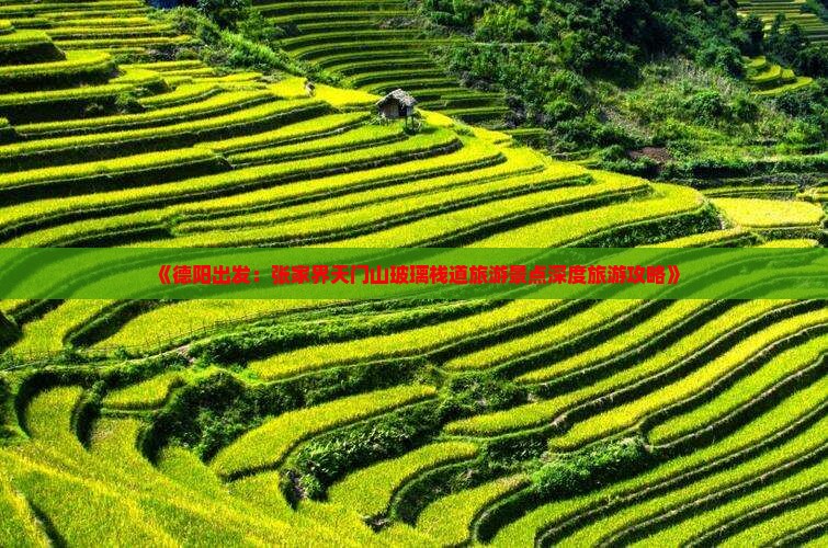 德阳去张家界玻璃栈道旅游 德阳去张家界玻璃栈道旅游