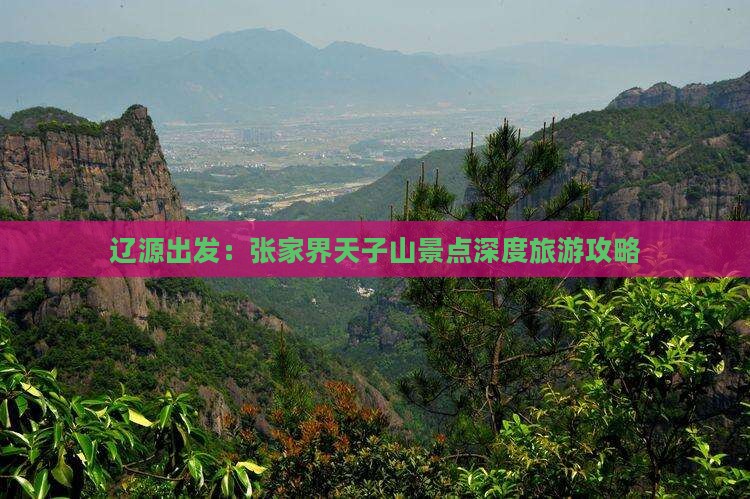 辽源去张家界天子山景点