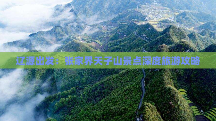 辽源去张家界天子山景点