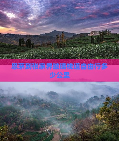 思茅到张家界玻璃栈道自由行