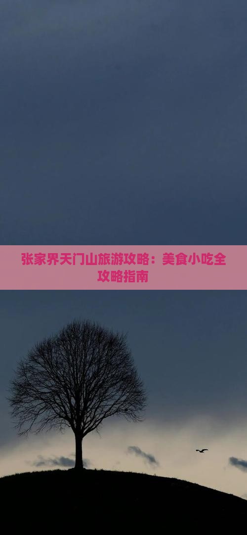 克拉玛依到张家界天门山旅游小吃