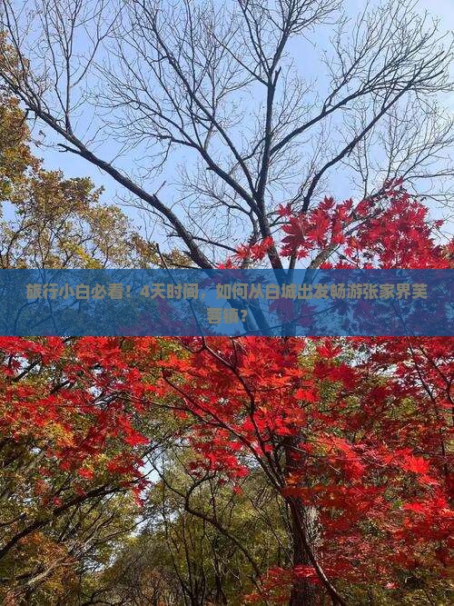 白城去张家界芙蓉镇四日游