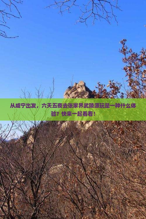 咸宁去张家界武陵源六日游