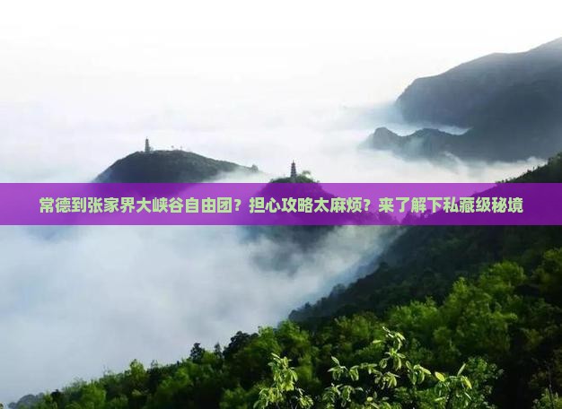 常德到张家界大峡谷自由团
