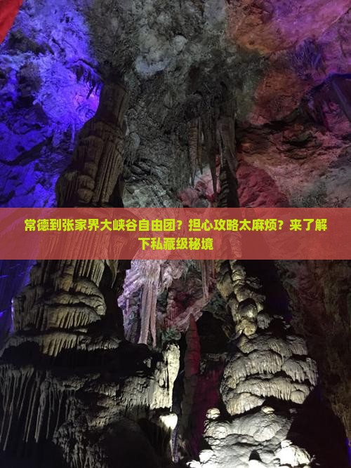 常德到张家界大峡谷自由团