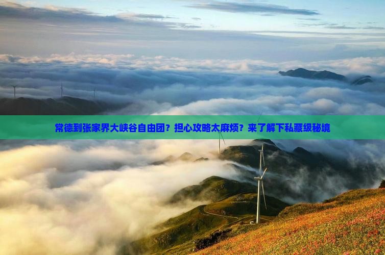 常德到张家界大峡谷自由团