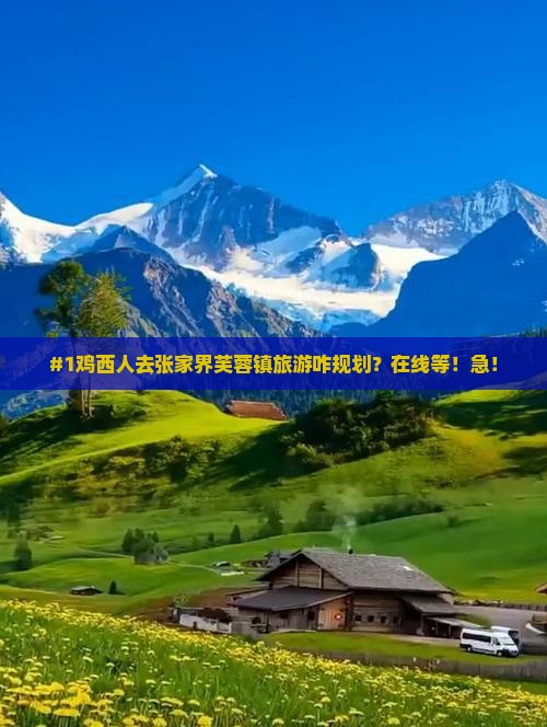 鸡西到张家界芙蓉镇旅行社