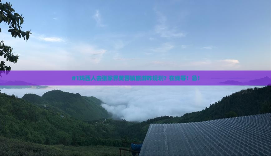 鸡西到张家界芙蓉镇旅行社