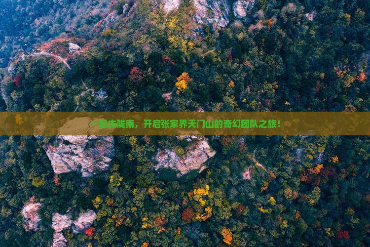 陇南到张家界天门山团体旅游