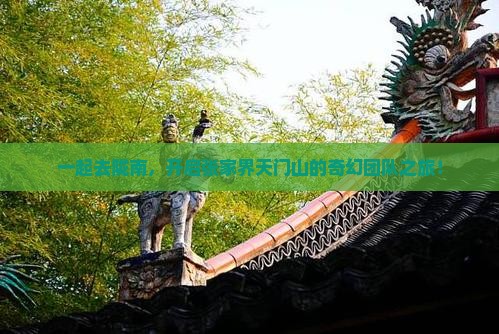 陇南到张家界天门山团体旅游