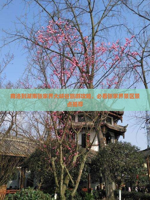 商洛去张家界大峡谷景点