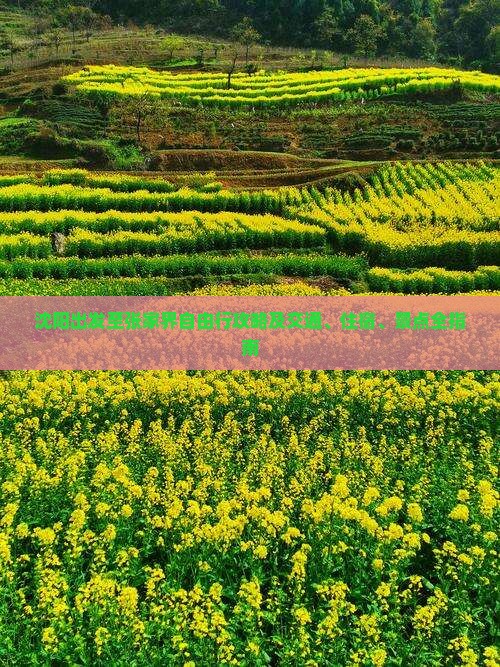 沈阳去张家界自由行