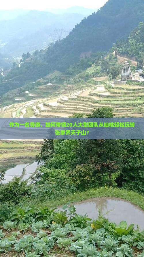 仙桃到张家界天子山大型旅游团