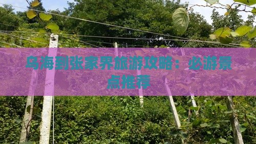 乌海去张家界攻略 乌海去张家界攻略
