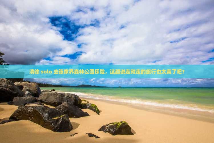 清徐去张家界森林公园个人游