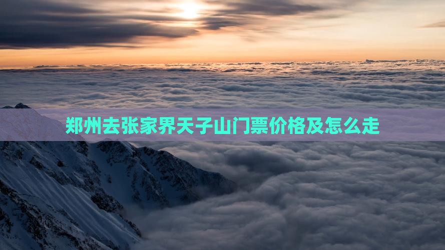 郑州去张家界天子山门票