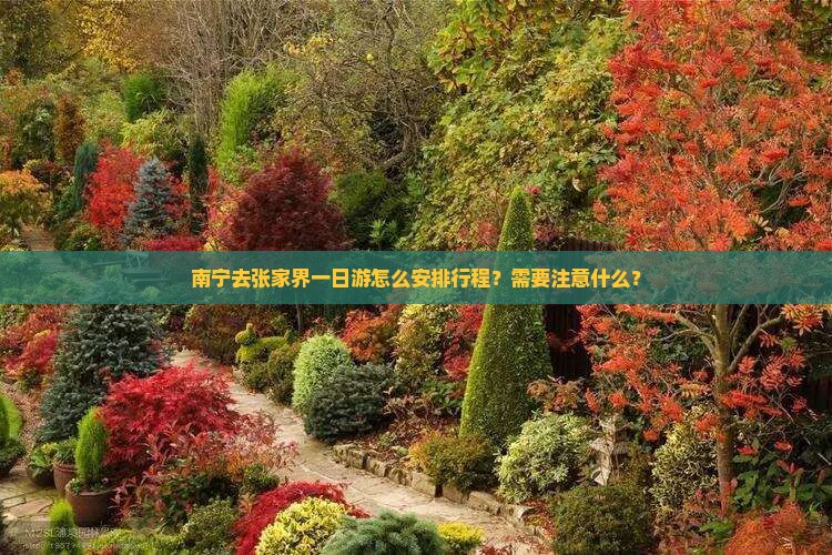 南宁去张家界一日