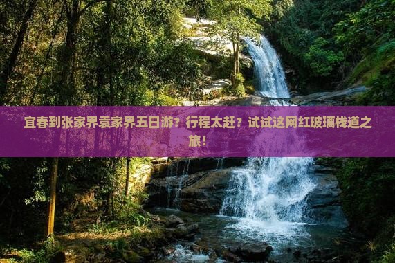 宜春到张家界袁家界五日游