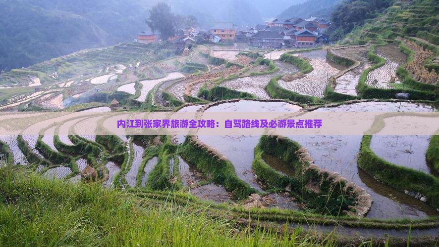 内江去张家界旅游