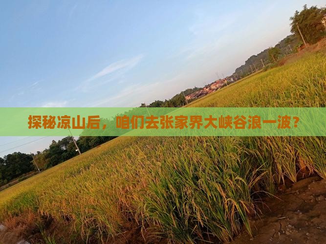 凉山去张家界大峡谷景点