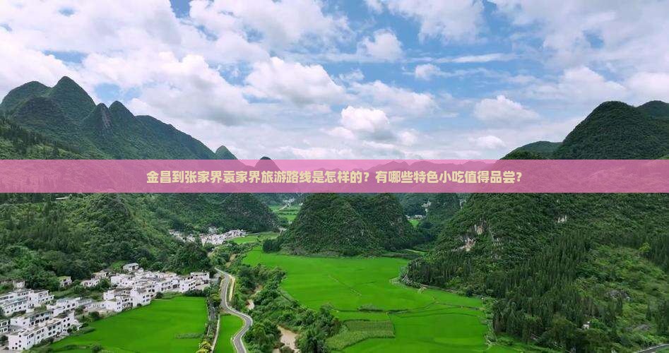 金昌到张家界袁家界旅游小吃