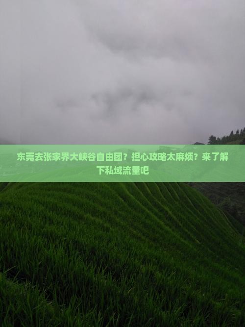 东莞去张家界大峡谷自由团