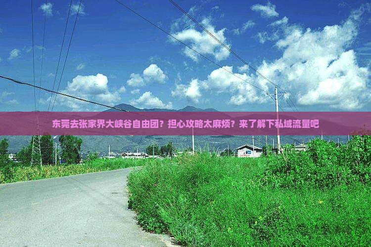 东莞去张家界大峡谷自由团