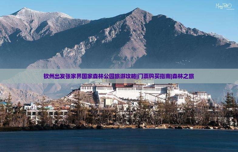 钦州去张家界森林公园门票
