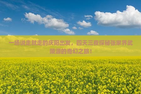 庆阳到张家界武陵源四日游