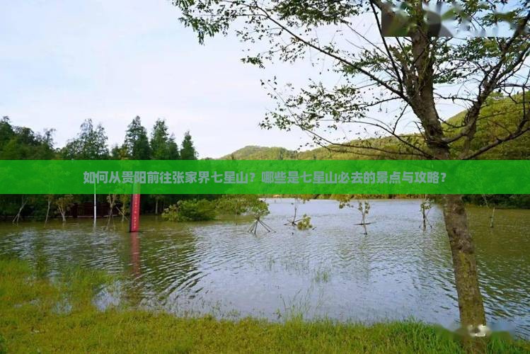 贵阳去张家界七星山必去地