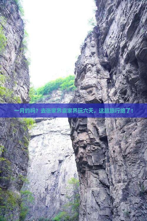 一月去张家界袁家界六日游