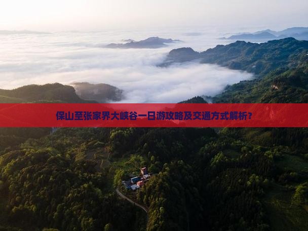 保山去张家界大峡谷一日
