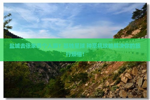 盐城去张家界个人游