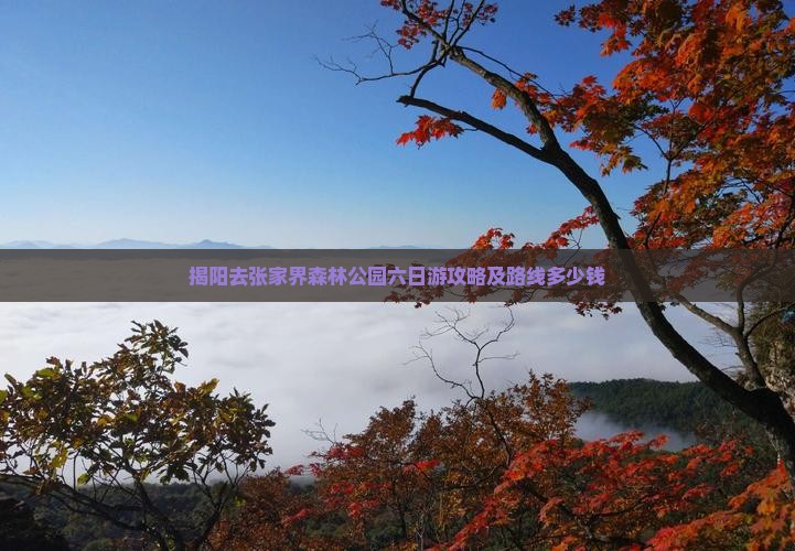 揭阳去张家界森林公园六日游 揭阳去张家界森林公园六日游