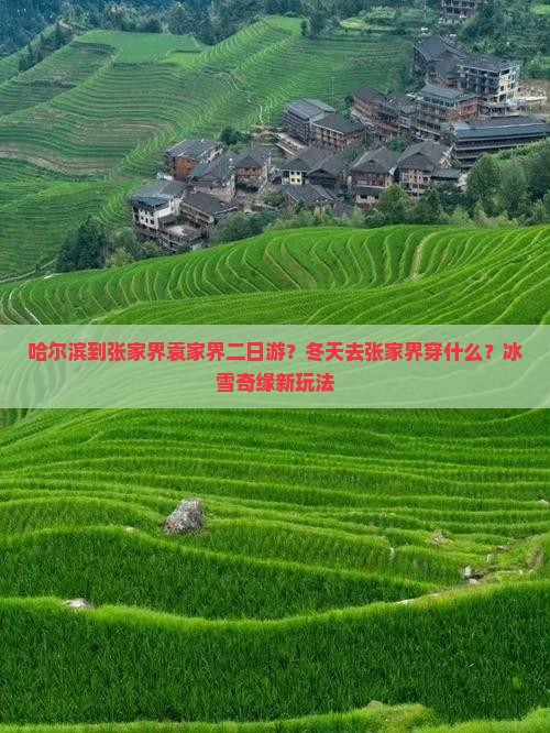 哈尔滨到张家界袁家界二日游