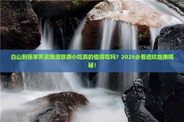 白山到张家界武陵源旅游小吃