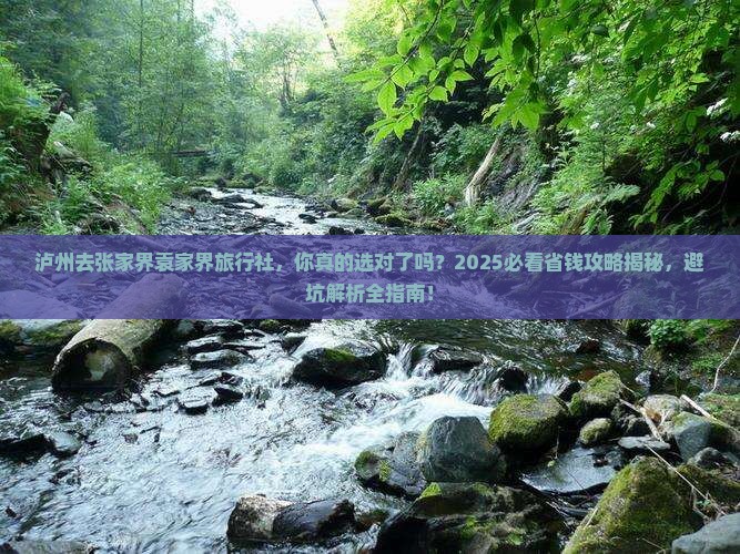 泸州去张家界袁家界旅行社